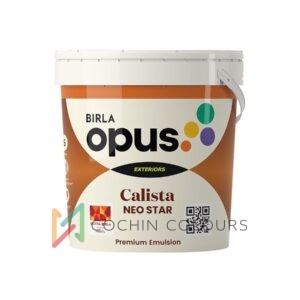 Birla Opus Calista Neo Star: Dust-Resistant Exterior Paint
