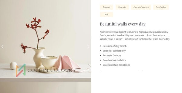 Fenomastic Wonderwall