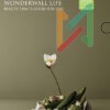 Transform Your Home with Fenomastic Wonderwall Life: Superior Indoor Air Quality Paint