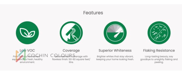 Durable Exterior Paint with 8-Year Warranty