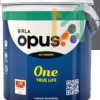 Birla Opus One True Life Exterior Paint
