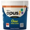 Birla Opus One True Look Exterior Paint