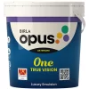Durable and Elegant: Birla Opus One True Vision Paint