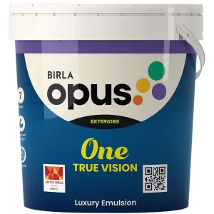 Birla Opus One True Vision Exterior Paint - 16-Year Warranty