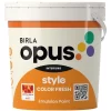 Vibrant Matte Wall Paint - Birla Opus Color Fresh